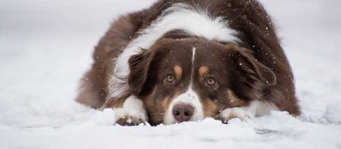 4ba5199b-d04b-460c-a3fe-0ab3a2b4d65b