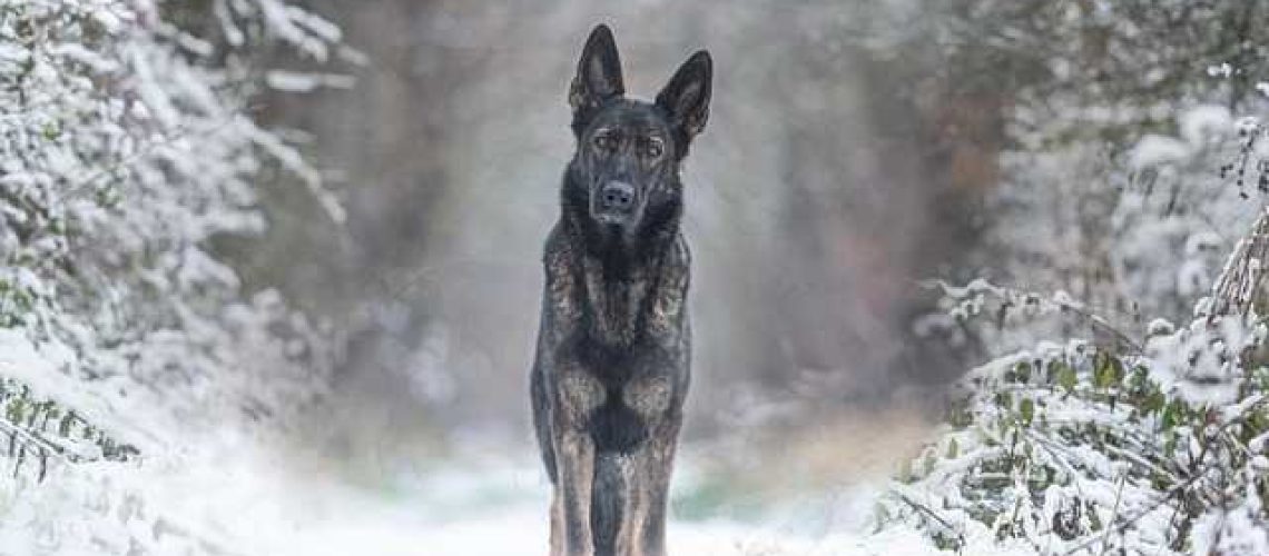 6f681429-a140-4a4a-9c4f-f4bed7576395